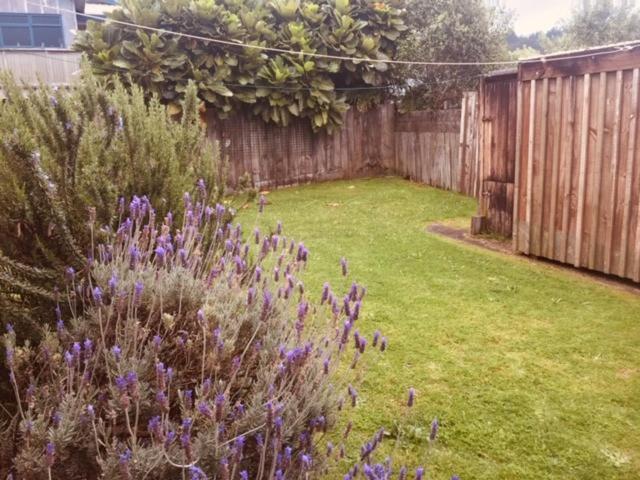 Mollies Place - Waihi Beach Holiday Unit 外观 照片